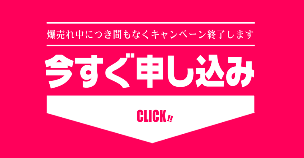 SEXコンサルタント申込み